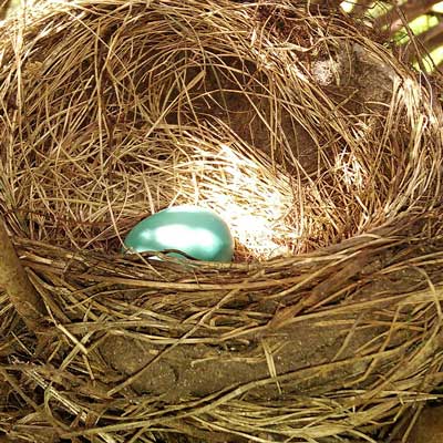 Ostara, represented by an egg in a nest from whitewicca